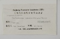 日本鳳丫蕨藏品圖，第2張