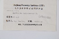 鐵角蕨藏品圖，第2張