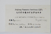 盾蕨藏品圖，第2張