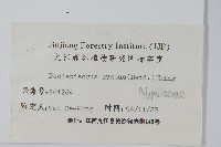 盾蕨藏品圖，第2張