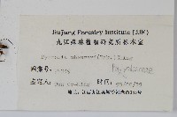 盧山石葦藏品圖，第2張