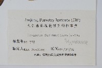 槲蕨藏品圖，第2張