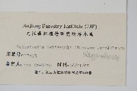 全緣卷柏藏品圖，第2張