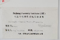 石葦藏品圖，第2張