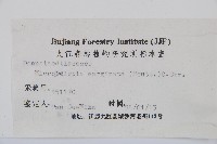 邊緣鱗蓋蕨藏品圖，第2張