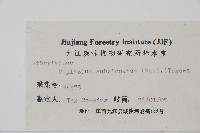 單葉雙蓋蕨藏品圖，第2張