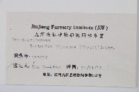 鐮羽貫眾藏品圖，第2張