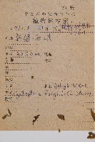 冷蕨藏品圖，第2張