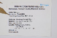 觀音座蓮舅藏品圖，第2張