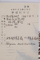 多齒蹄蓋蕨藏品圖，第2張