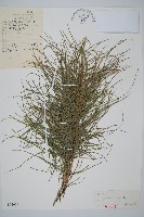 問荊藏品圖，第1張