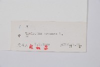 問荊藏品圖，第2張