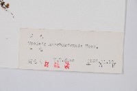 登錄號:P004015藏品圖，第2張