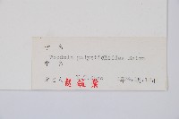 岩蕨藏品圖，第2張