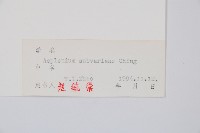 小鐵角蕨藏品圖，第2張