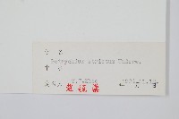 登錄號:P004028藏品圖，第2張