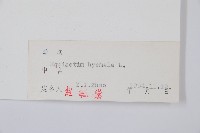 大木賊藏品圖，第2張