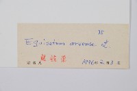 問荊藏品圖，第2張