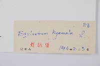 大木賊藏品圖，第2張