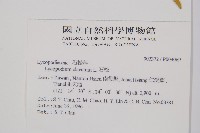 石松藏品圖，第2張