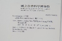 地刷子藏品圖，第2張