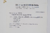 疏葉卷柏藏品圖，第2張