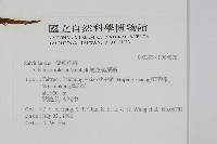 人厭槐葉蘋、速生槐葉蘋藏品圖，第2張