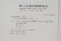 石松藏品圖，第2張