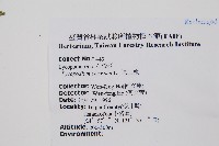 過山龍藏品圖，第2張