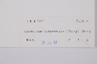 草綠短腸蕨藏品圖，第3張