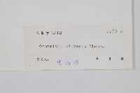 登錄號:P004098藏品圖，第2張