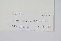 掌葉線蕨藏品圖，第2張