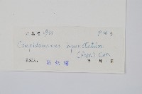 南洋假脈蕨藏品圖，第2張