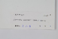 盧山石葦藏品圖，第2張