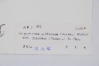 登錄號:P004125藏品圖，第2張