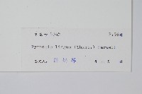 石葦藏品圖，第2張