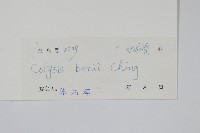 瓊越線蕨藏品圖，第2張