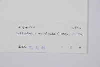 菜蕨藏品圖，第2張