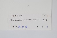 大星蕨藏品圖，第2張