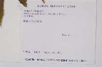 海南實蕨藏品圖，第2張