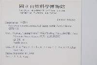 臺灣木賊藏品圖，第2張