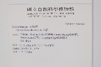 石松藏品圖，第2張