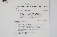 擬芨瓦葦藏品圖，第2張