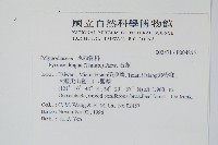 石葦藏品圖，第2張