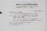 鱗瓦葦、長柄瓦葦藏品圖，第2張