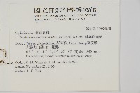 劍葉鐵角蕨、箭葉鐵角蕨藏品圖，第2張