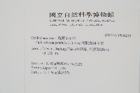 帶狀瓶爾小草藏品圖，第2張