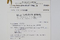 瓦葦藏品圖，第2張