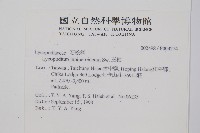 玉柏藏品圖，第2張