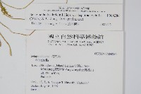 登錄號:P004286藏品圖，第2張